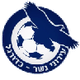 伊若尼内瑟U19logo